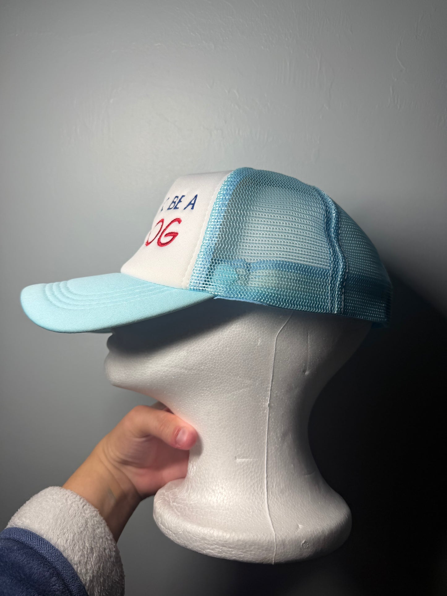 Bad Day To Be A Hotdog Embroidered Trucker Hat | Funny BBQ Hat | Summer Hat